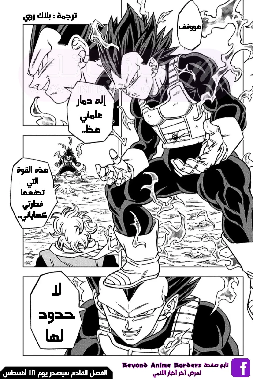 الصفحة 46