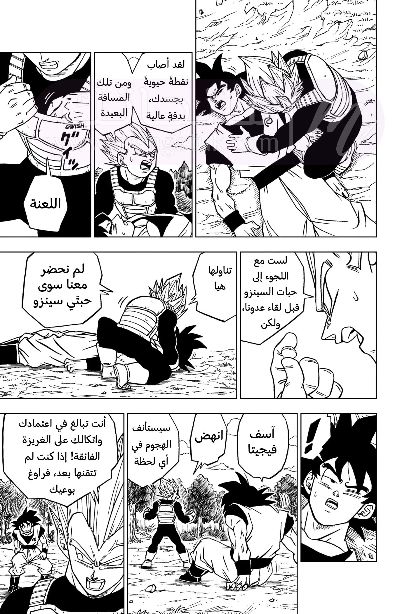 الصفحة 15