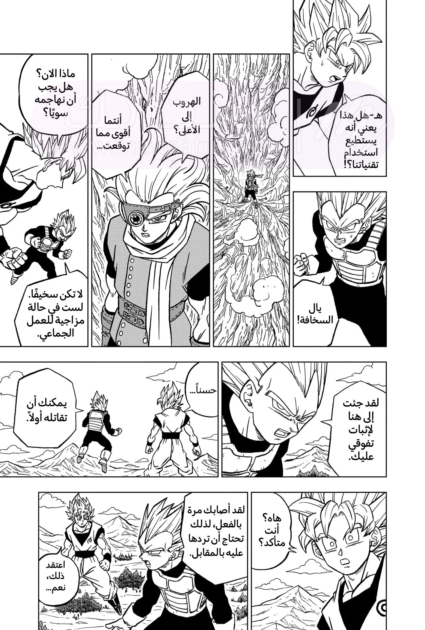 الصفحة 21