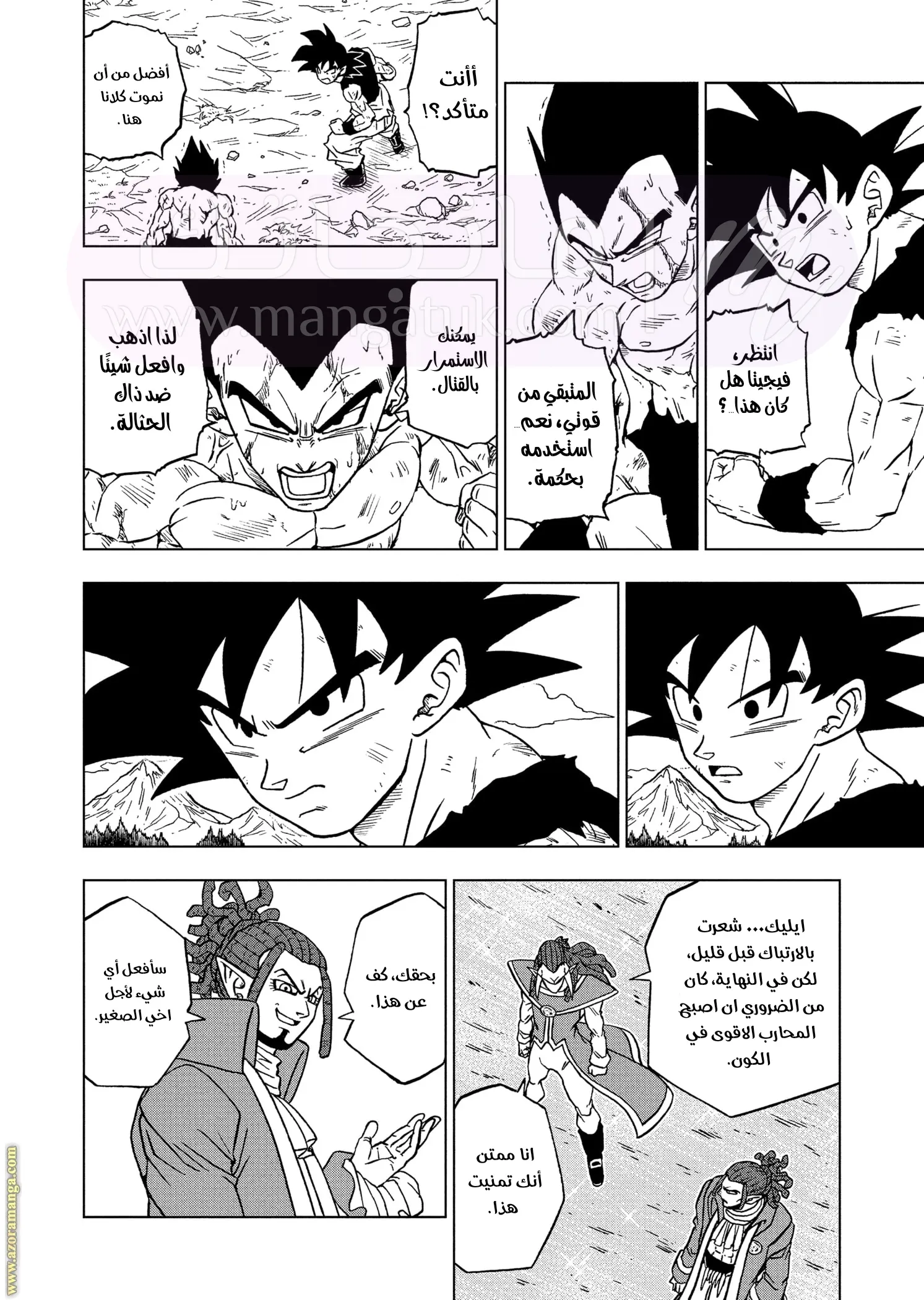 الصفحة 14