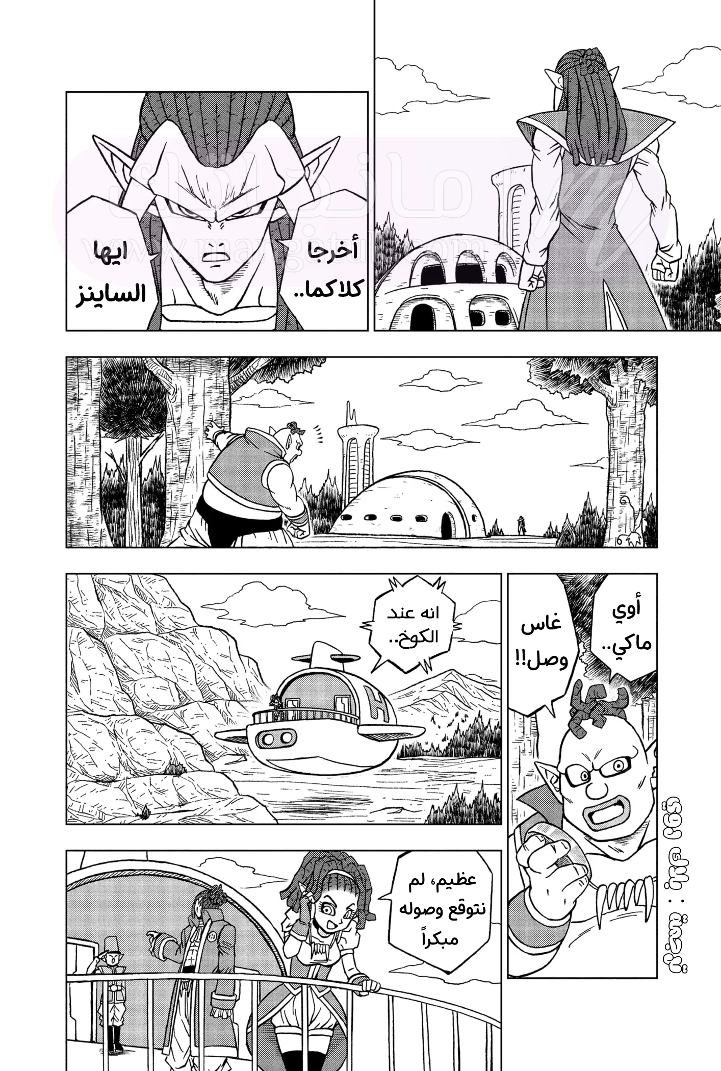 الصفحة 10
