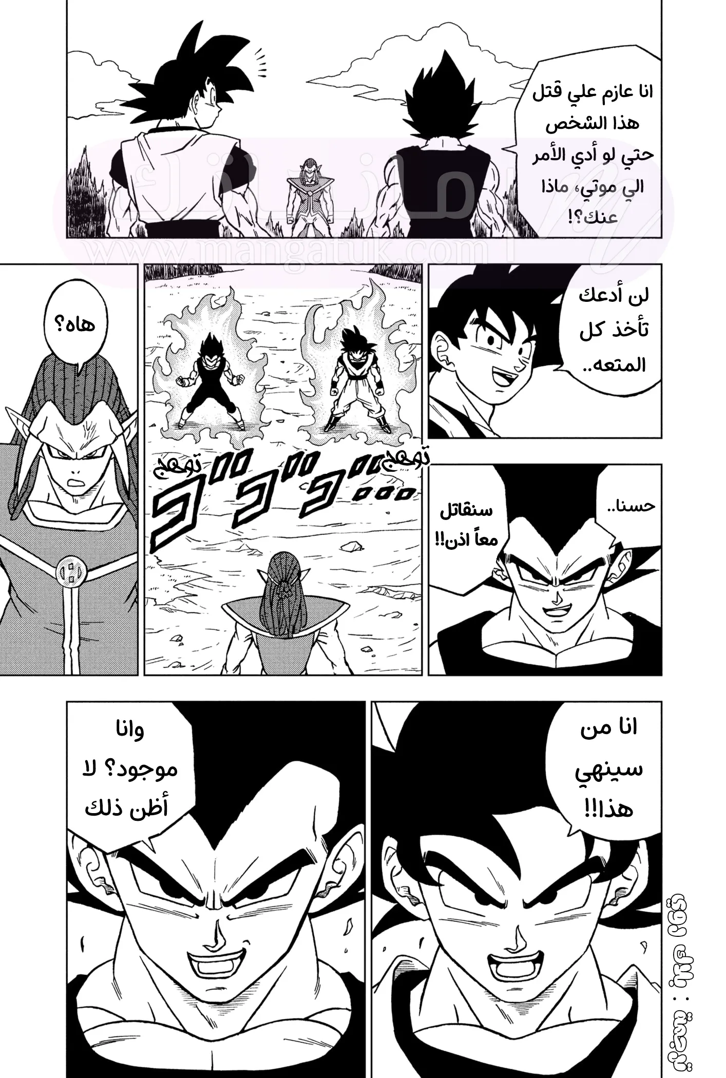 الصفحة 13