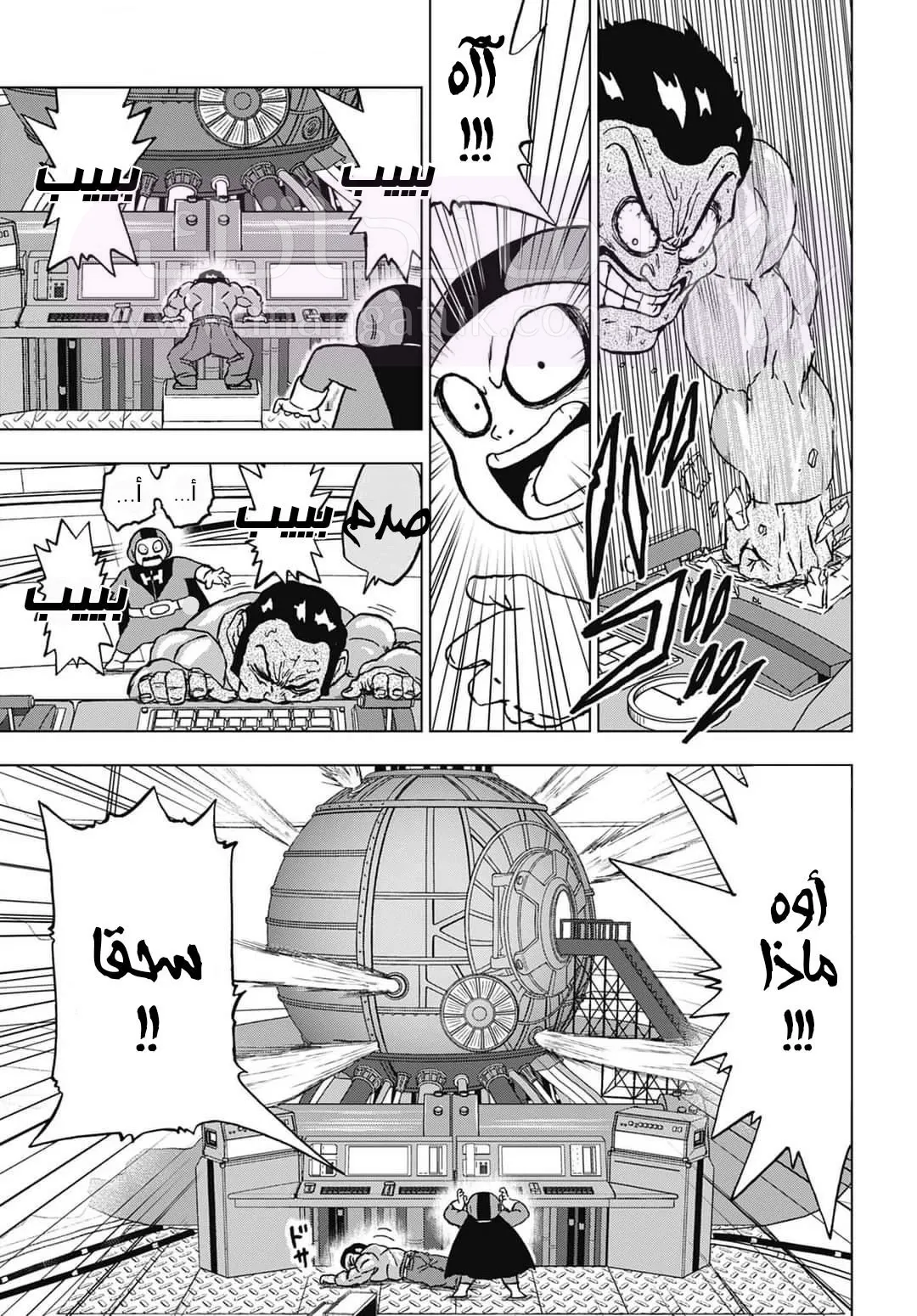 الصفحة 25