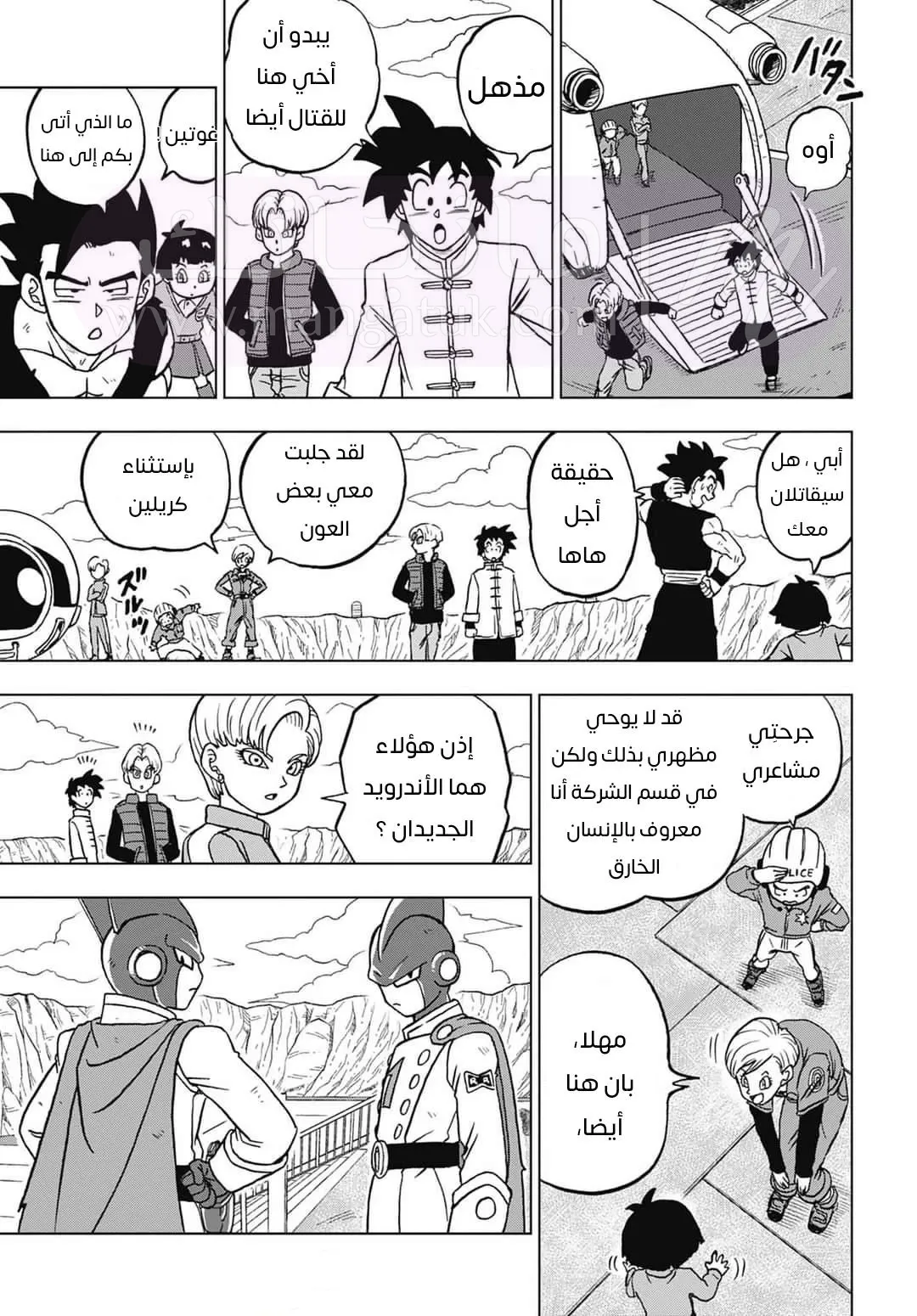 الصفحة 27