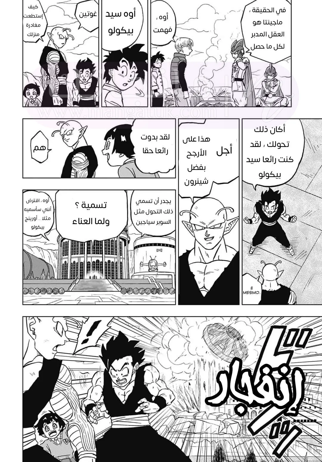 الصفحة 30