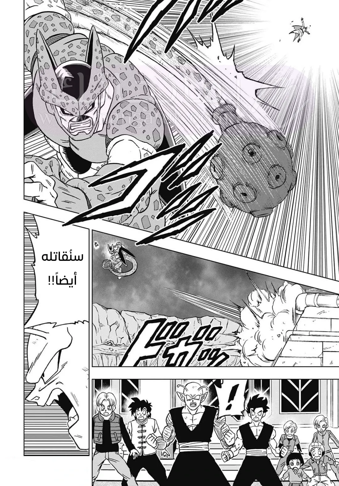 الصفحة 42