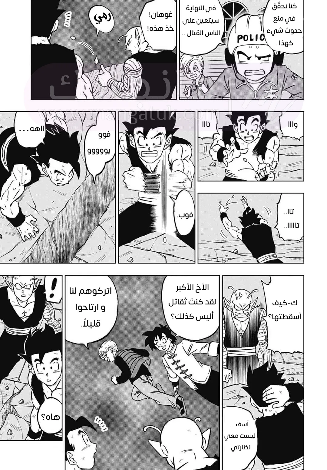 الصفحة 43