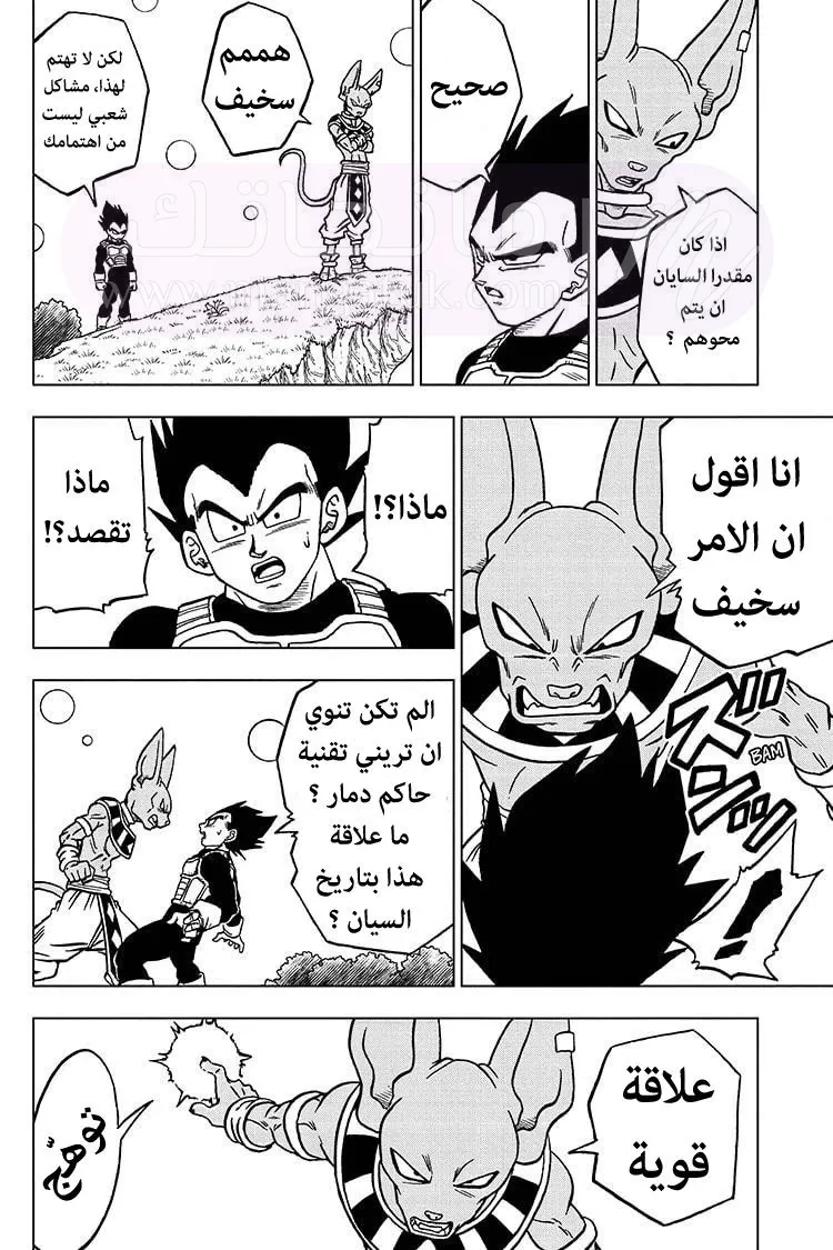 الصفحة 11