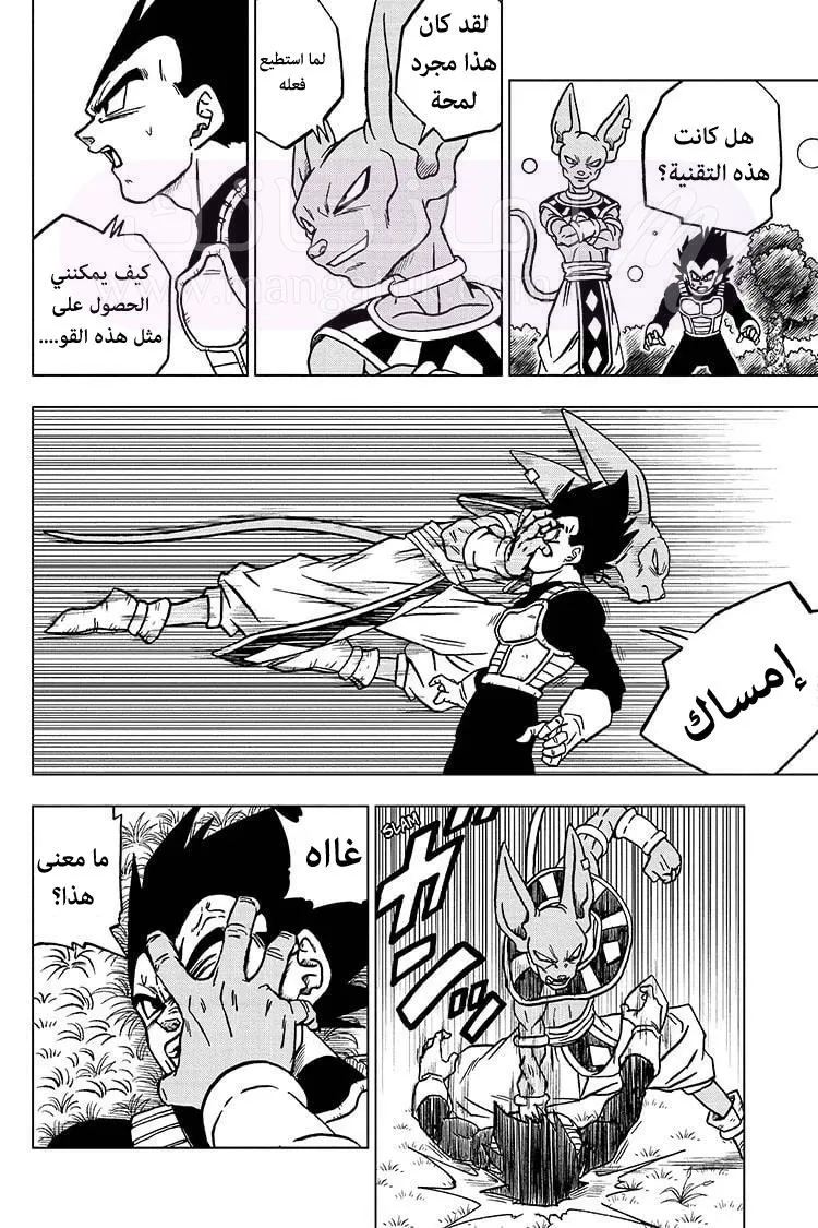 الصفحة 15