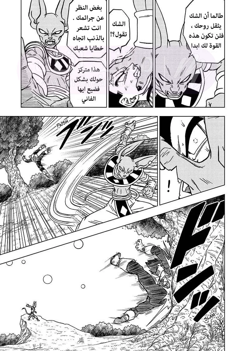الصفحة 16