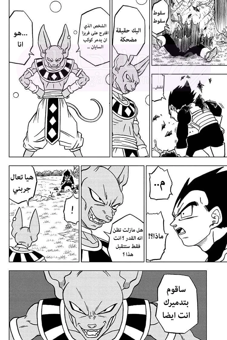 الصفحة 17
