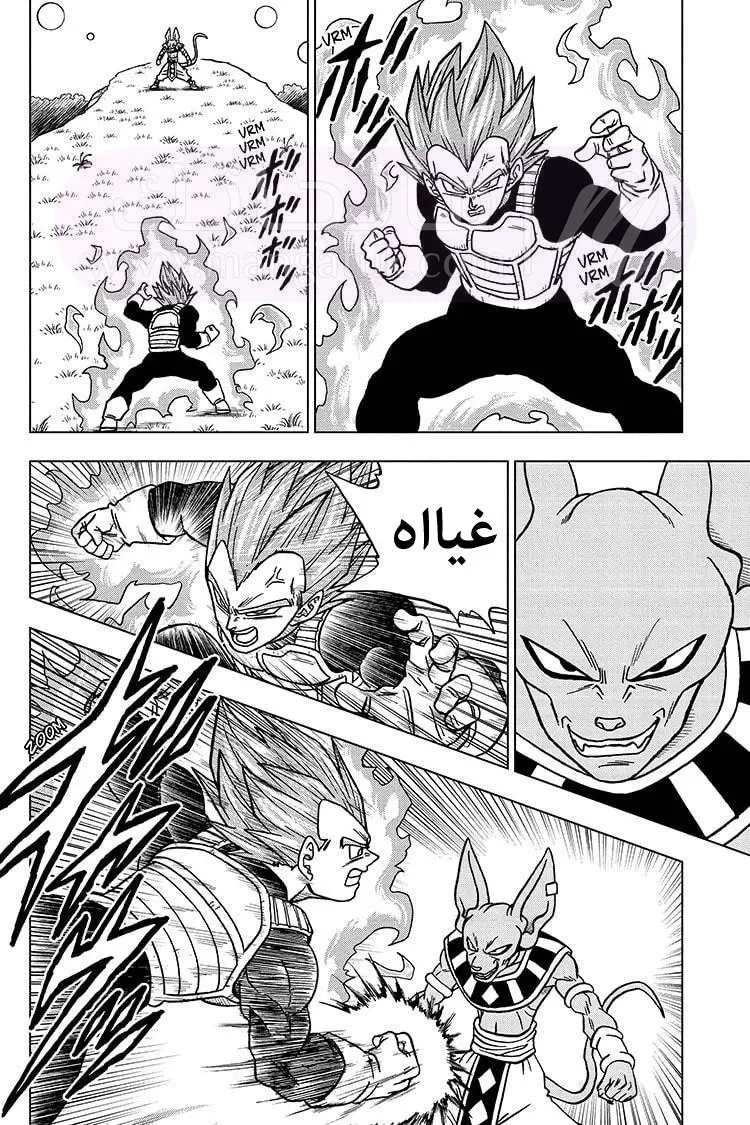الصفحة 19