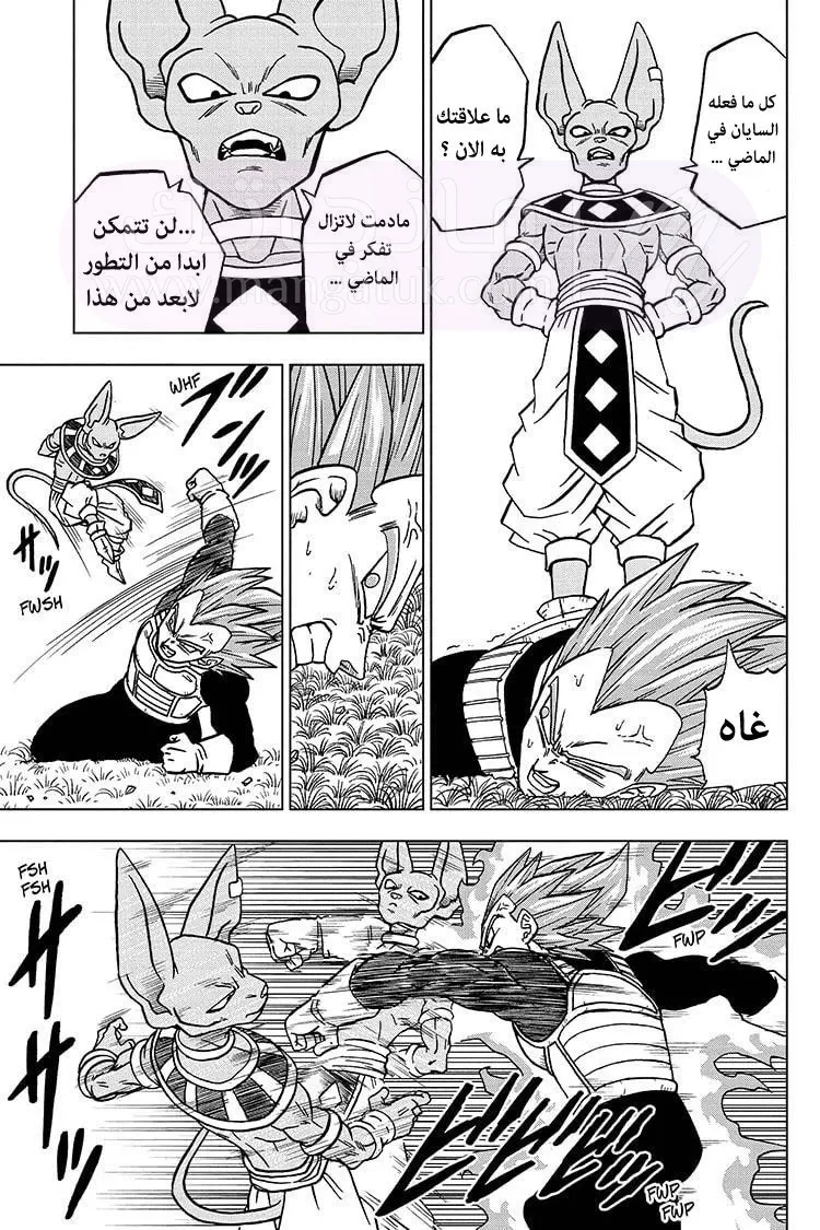 الصفحة 24