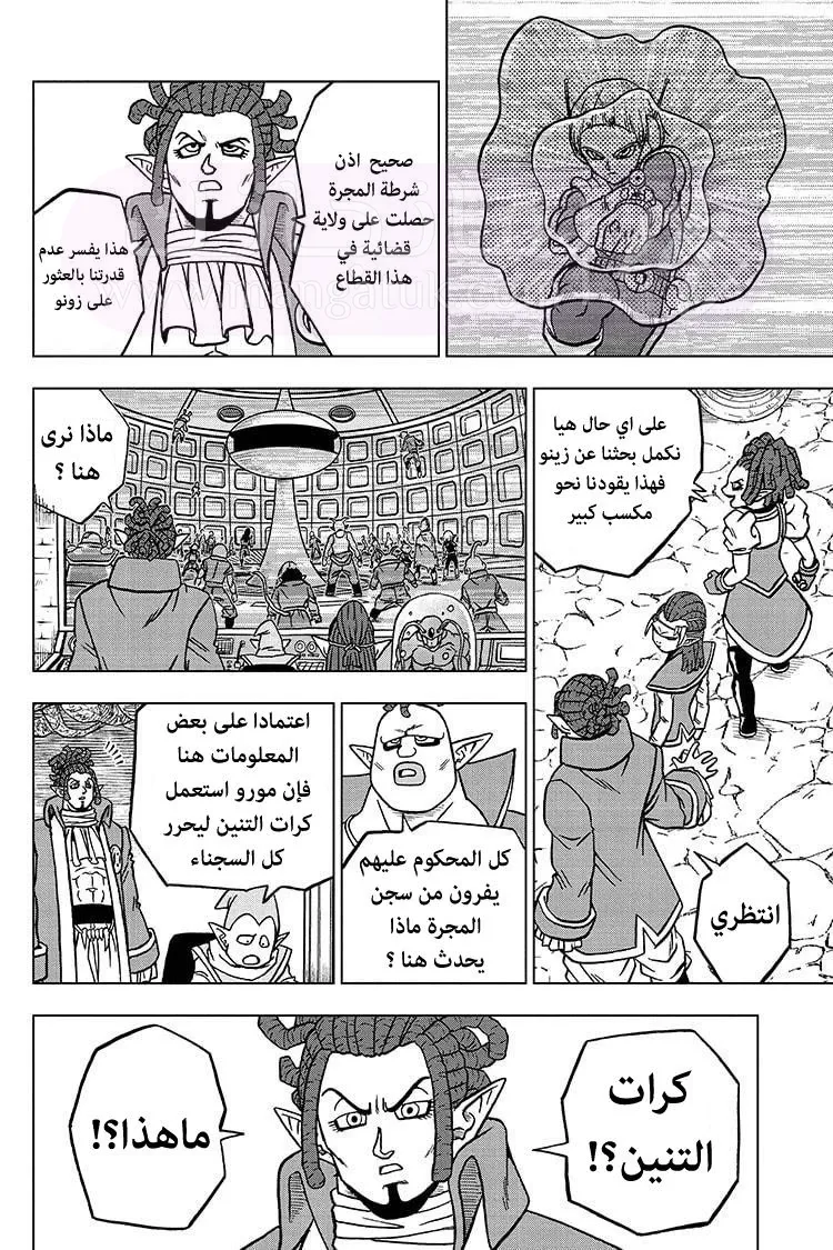 الصفحة 29