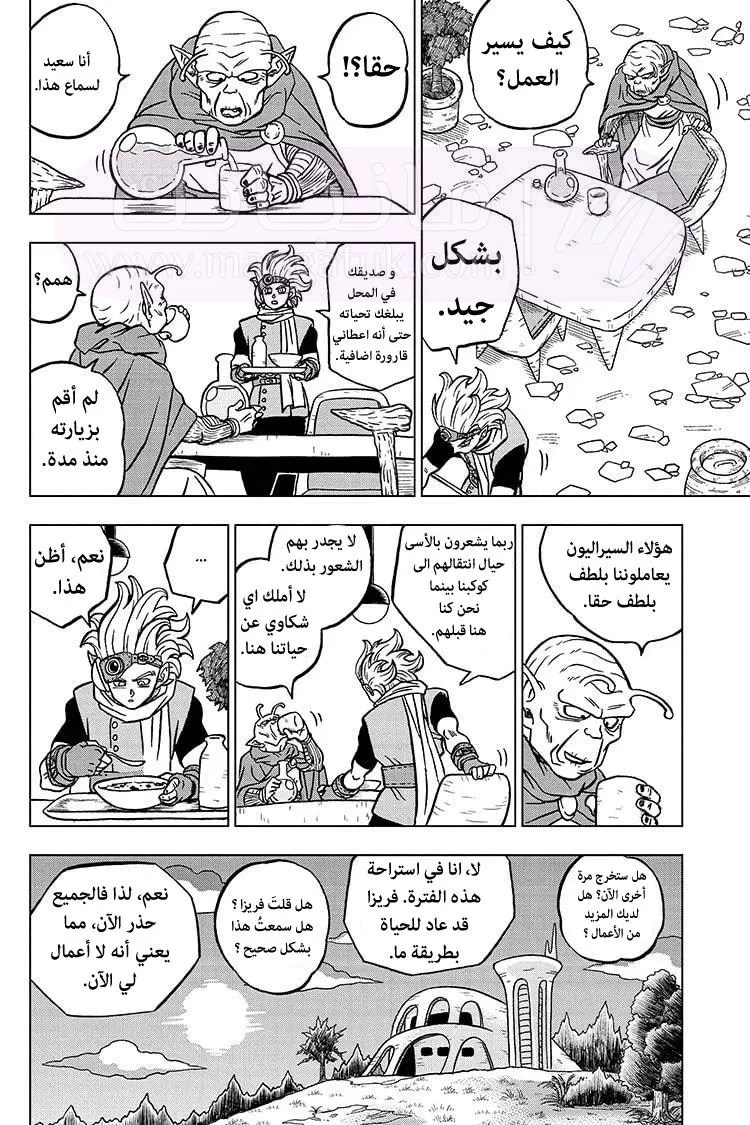 الصفحة 33