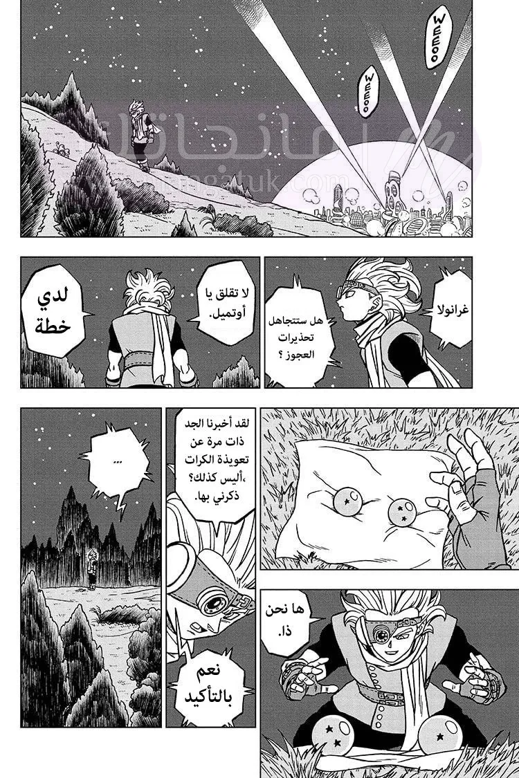 الصفحة 43