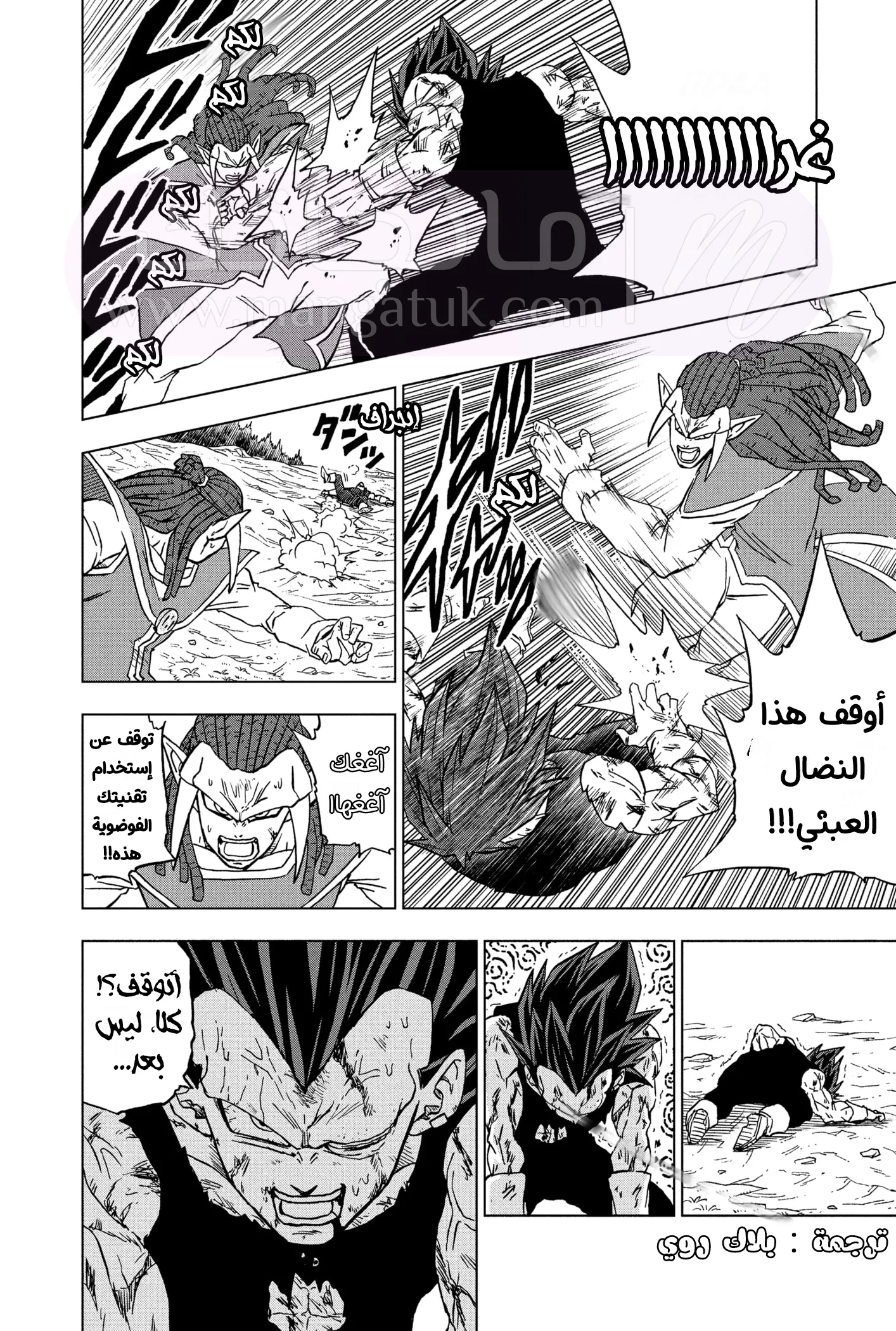 الصفحة 12