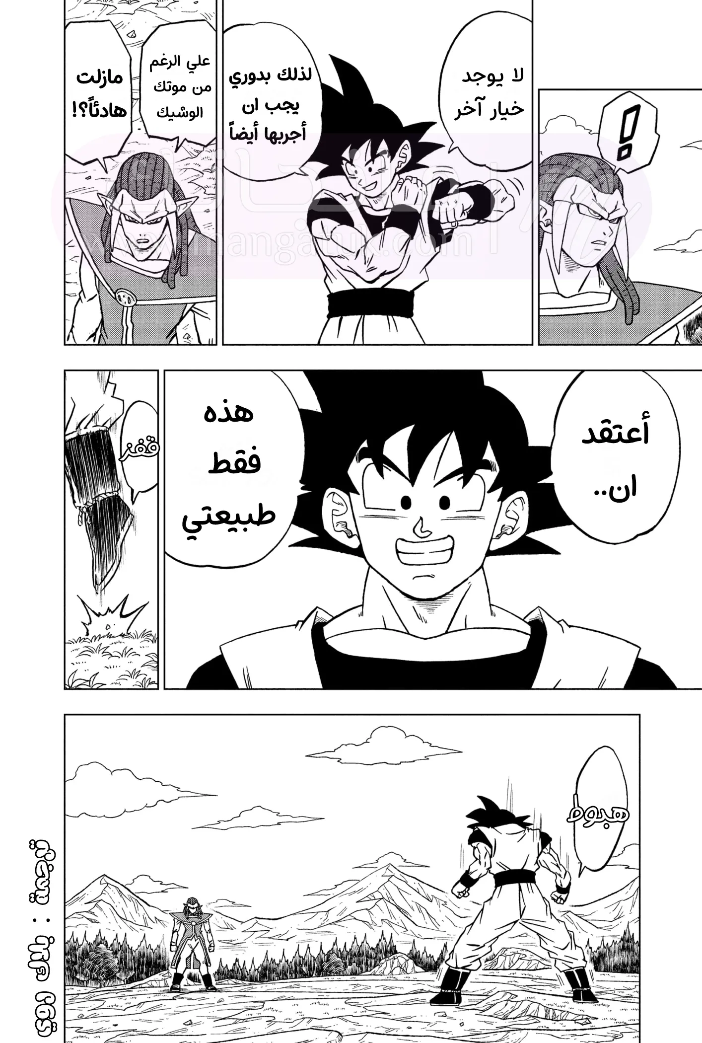 الصفحة 22