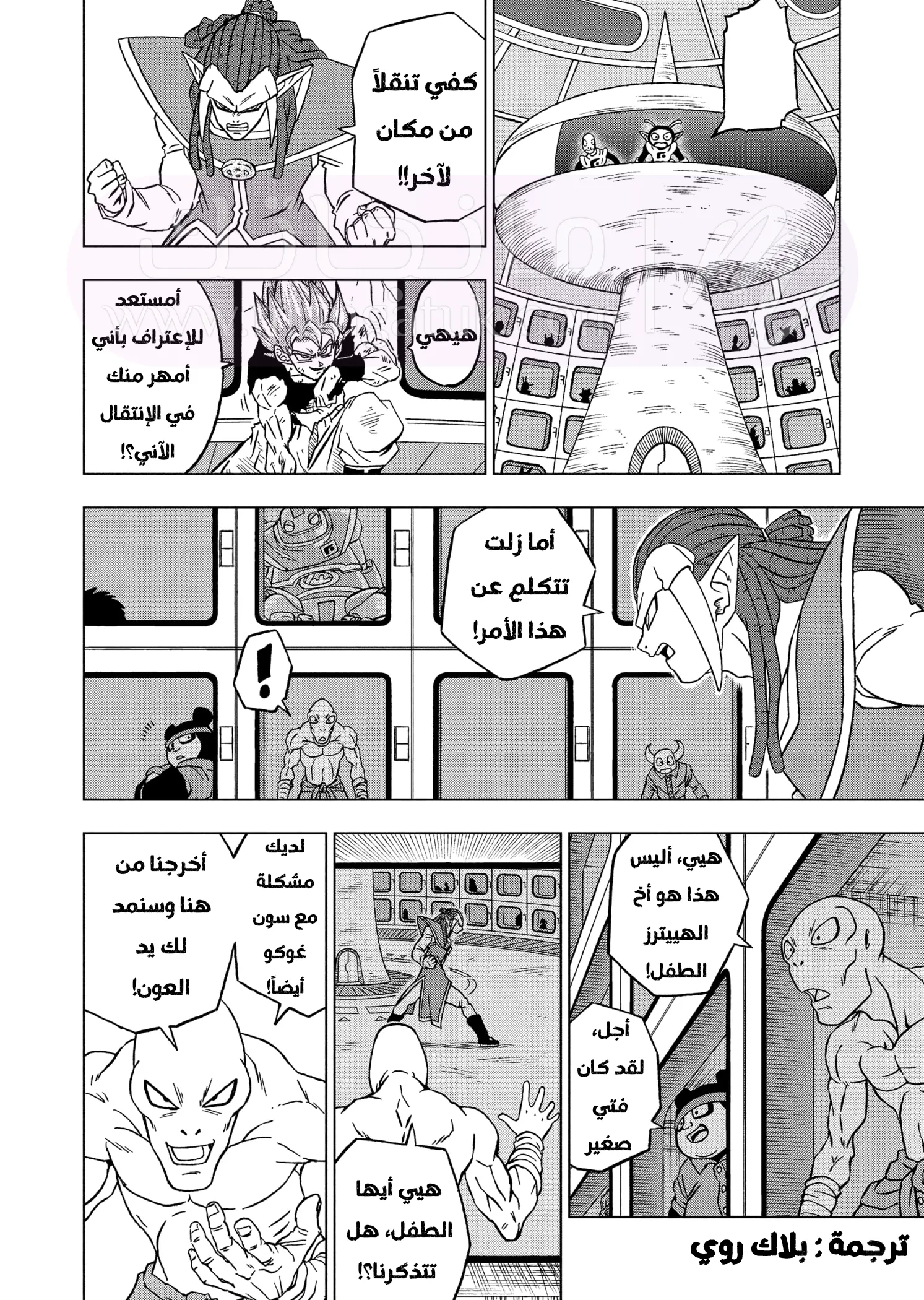 الصفحة 11