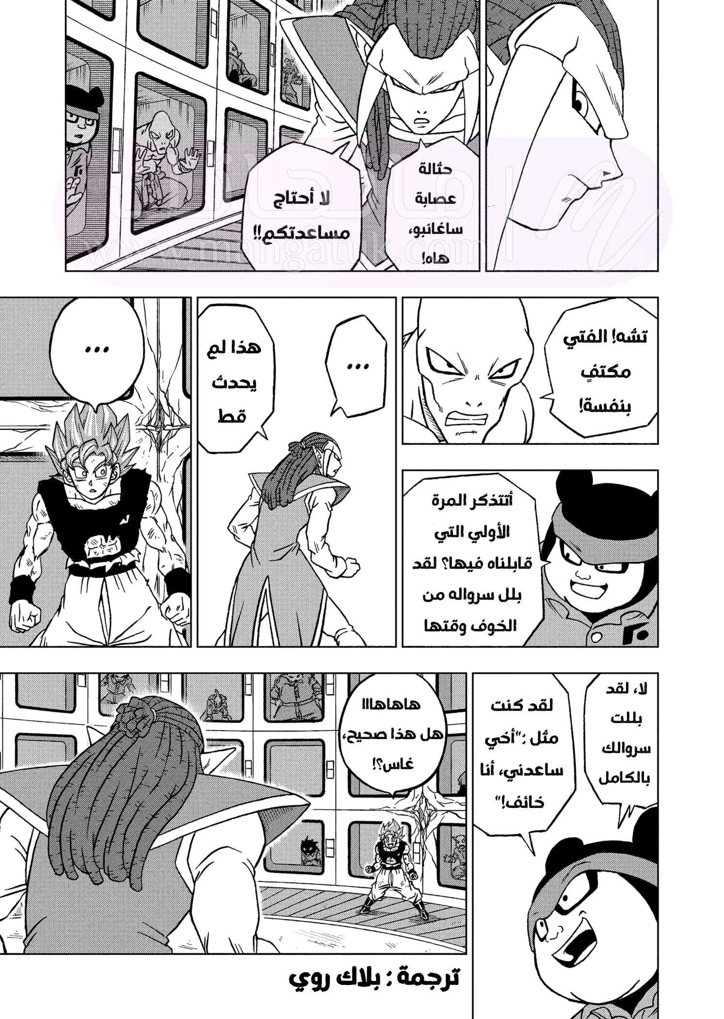 الصفحة 12