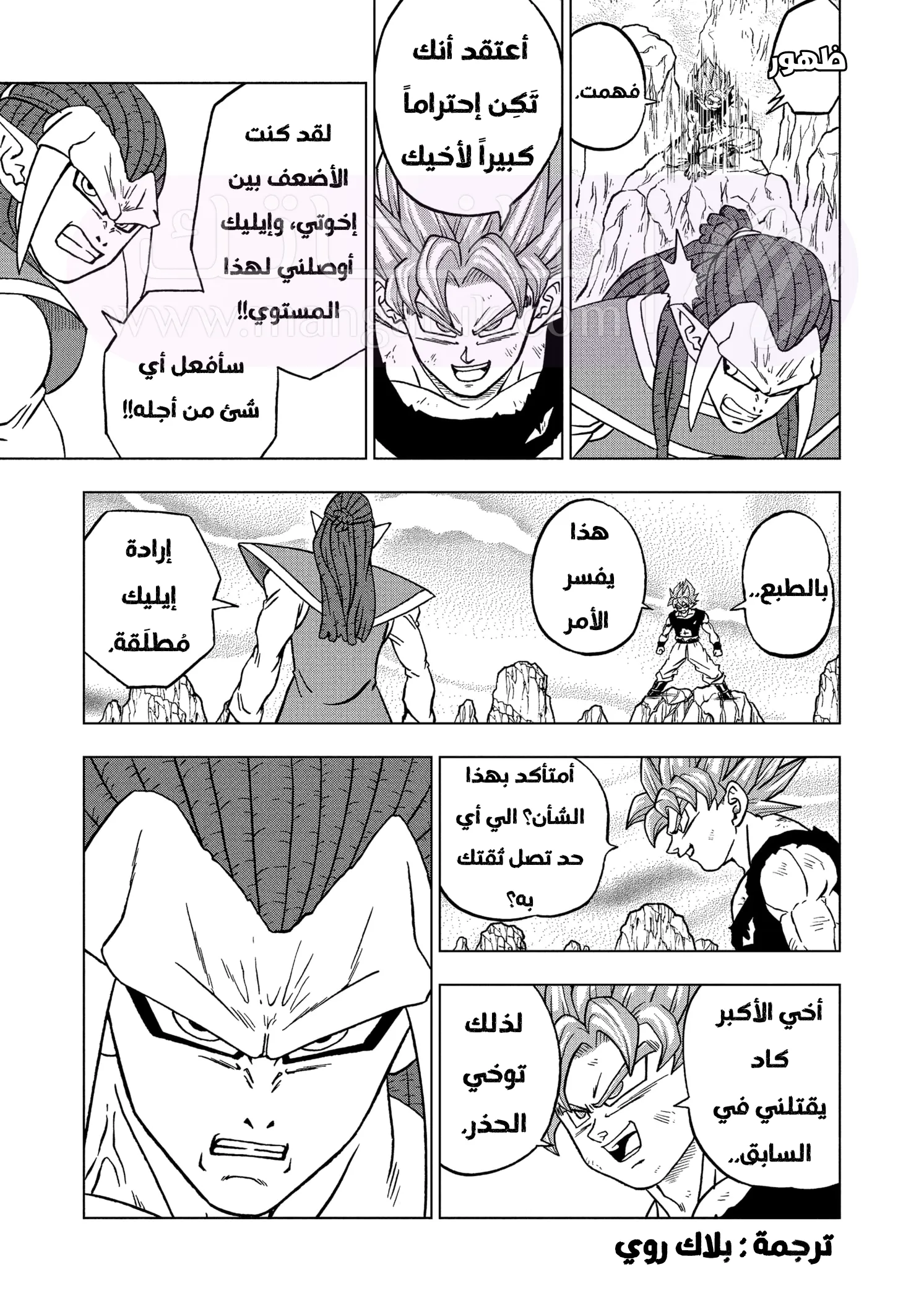 الصفحة 16
