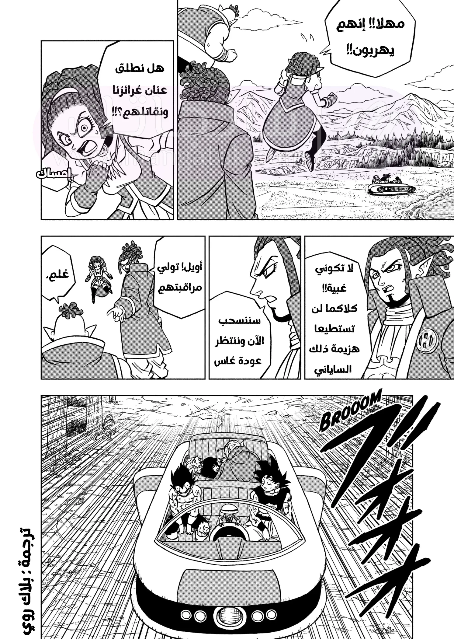 الصفحة 29