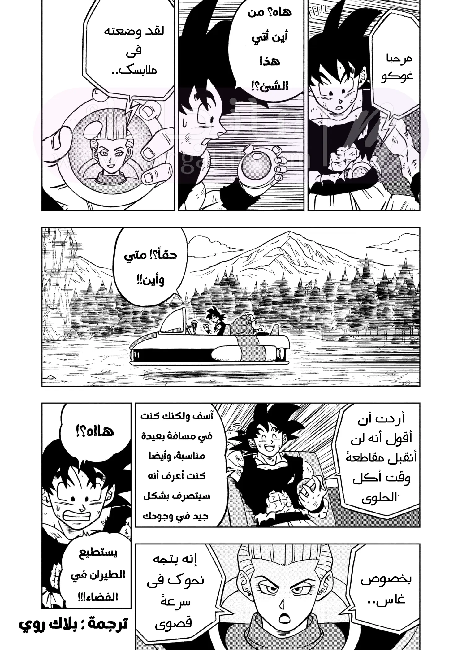 الصفحة 30
