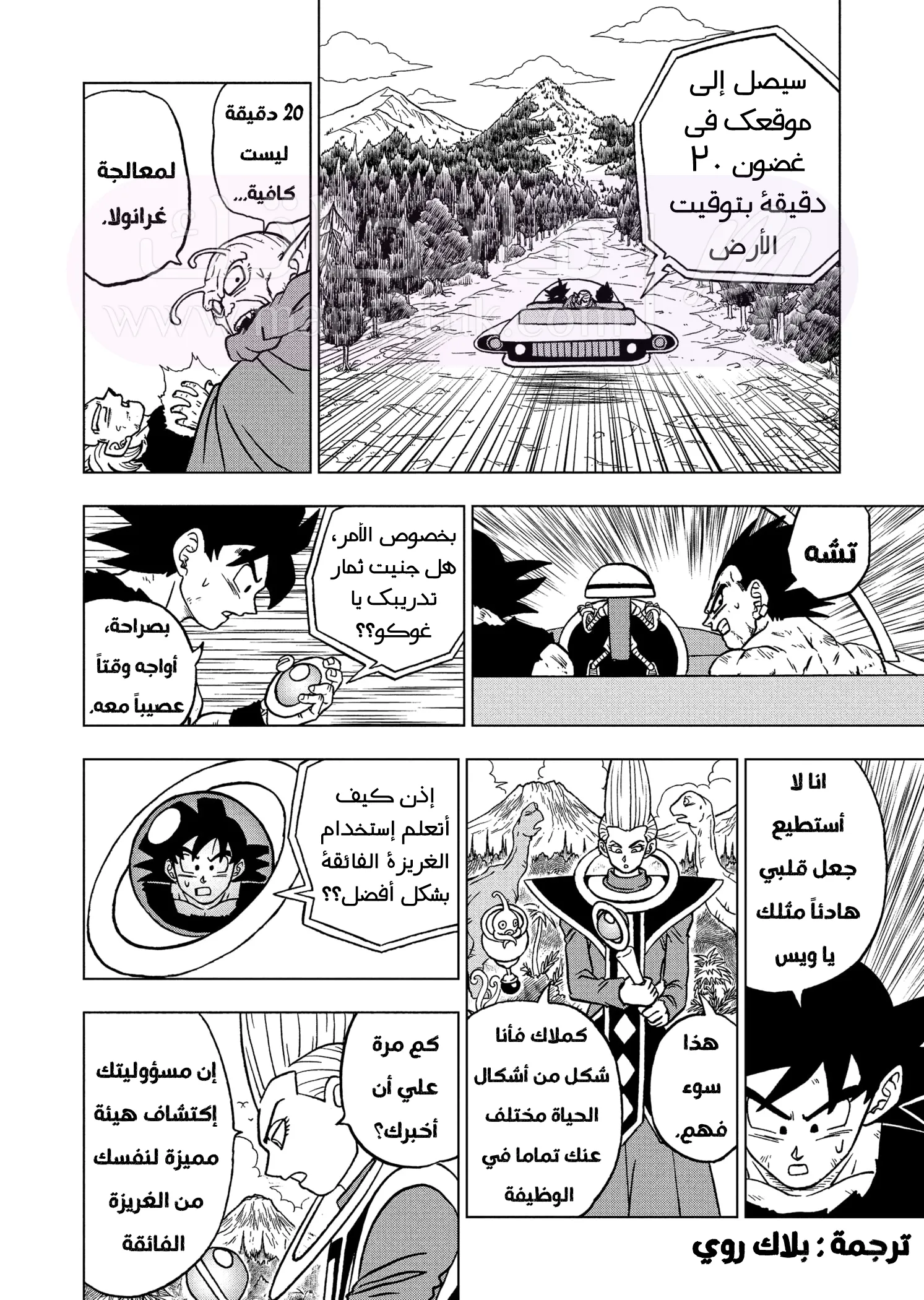 الصفحة 31