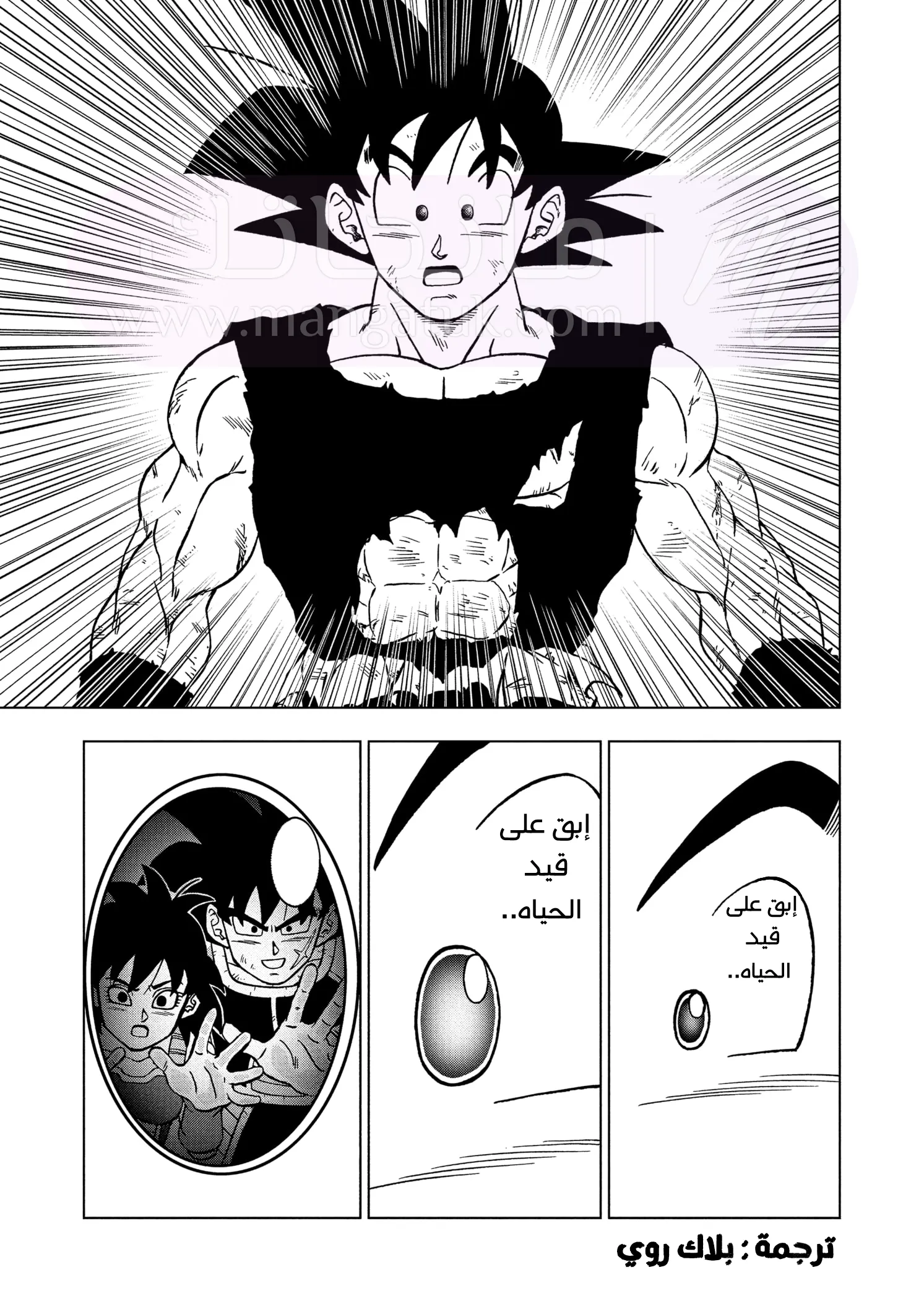 الصفحة 38