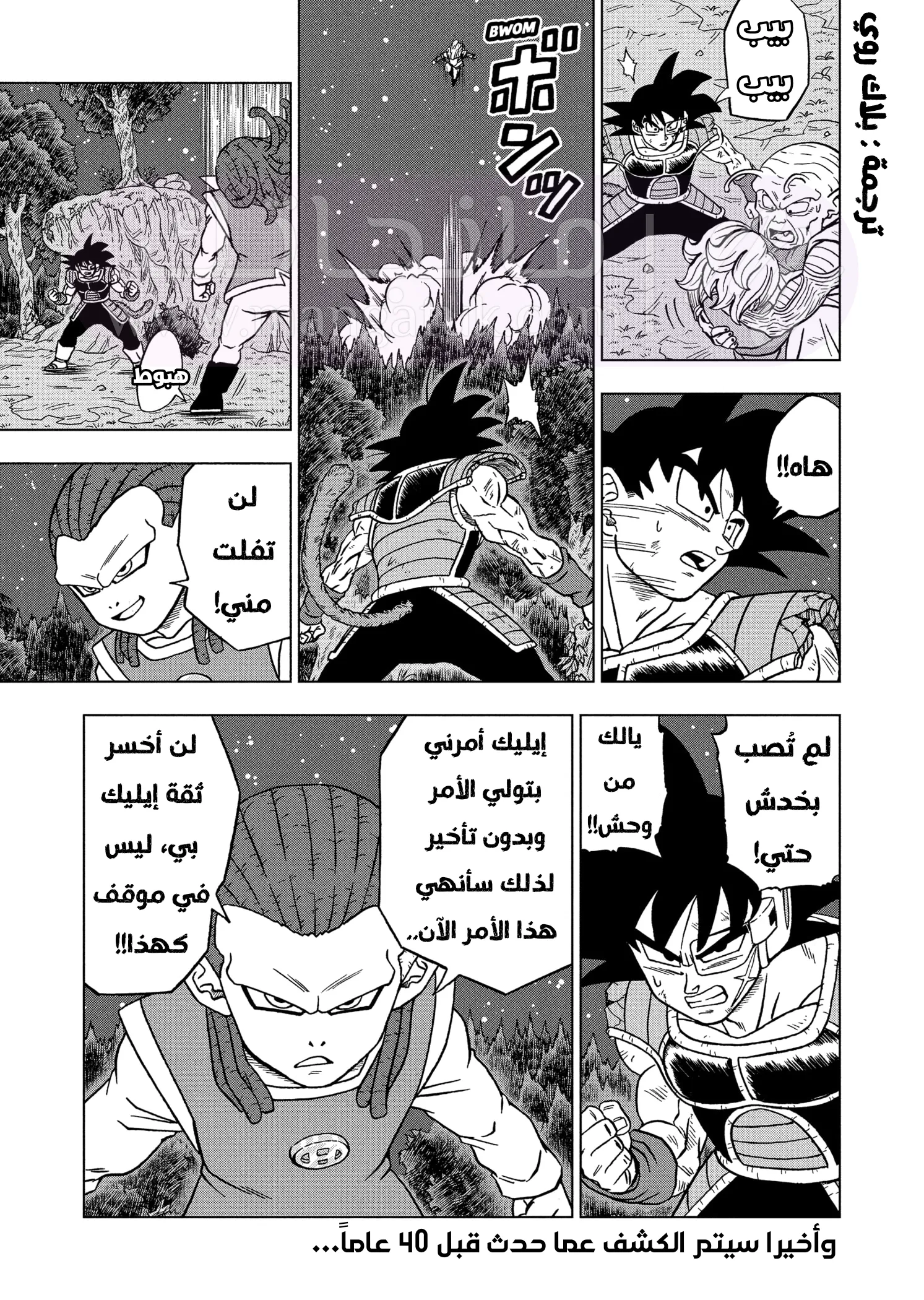 الصفحة 46