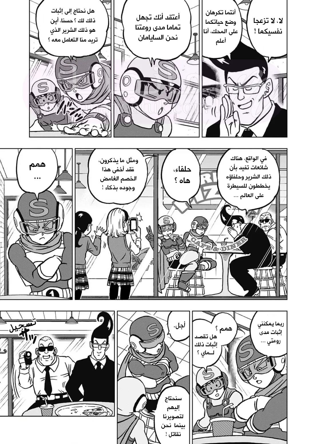 الصفحة 13