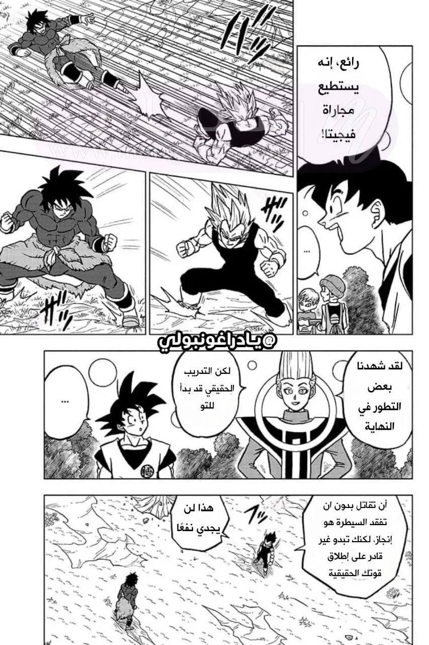 الصفحة 31