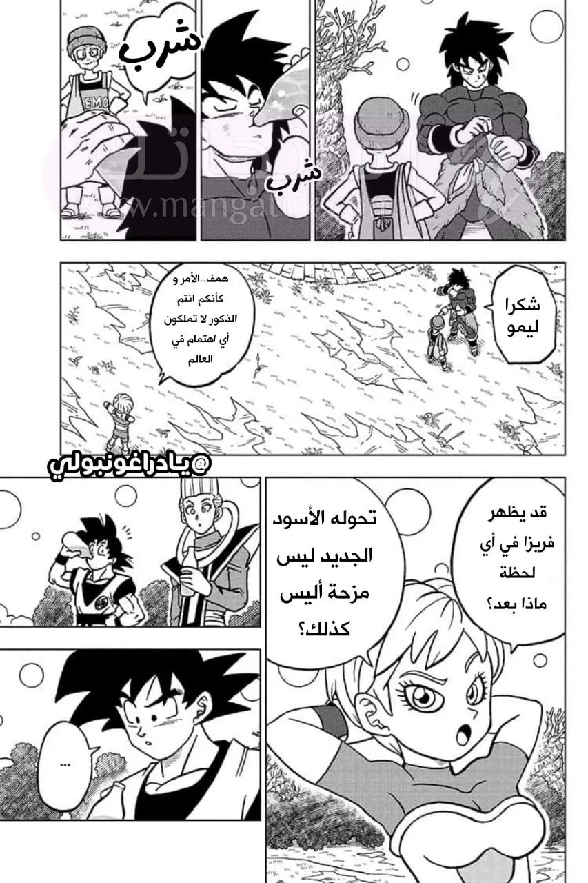 الصفحة 33