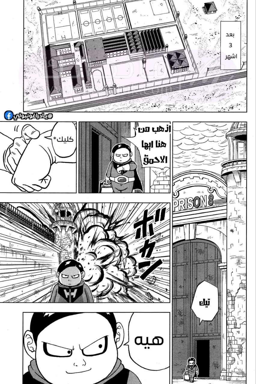 الصفحة 11