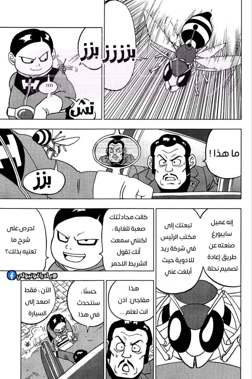 الصفحة 13