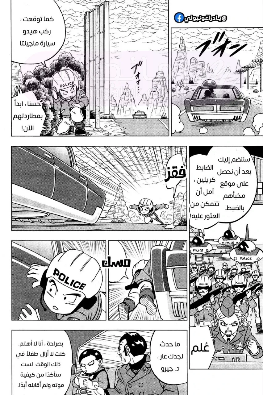 الصفحة 14