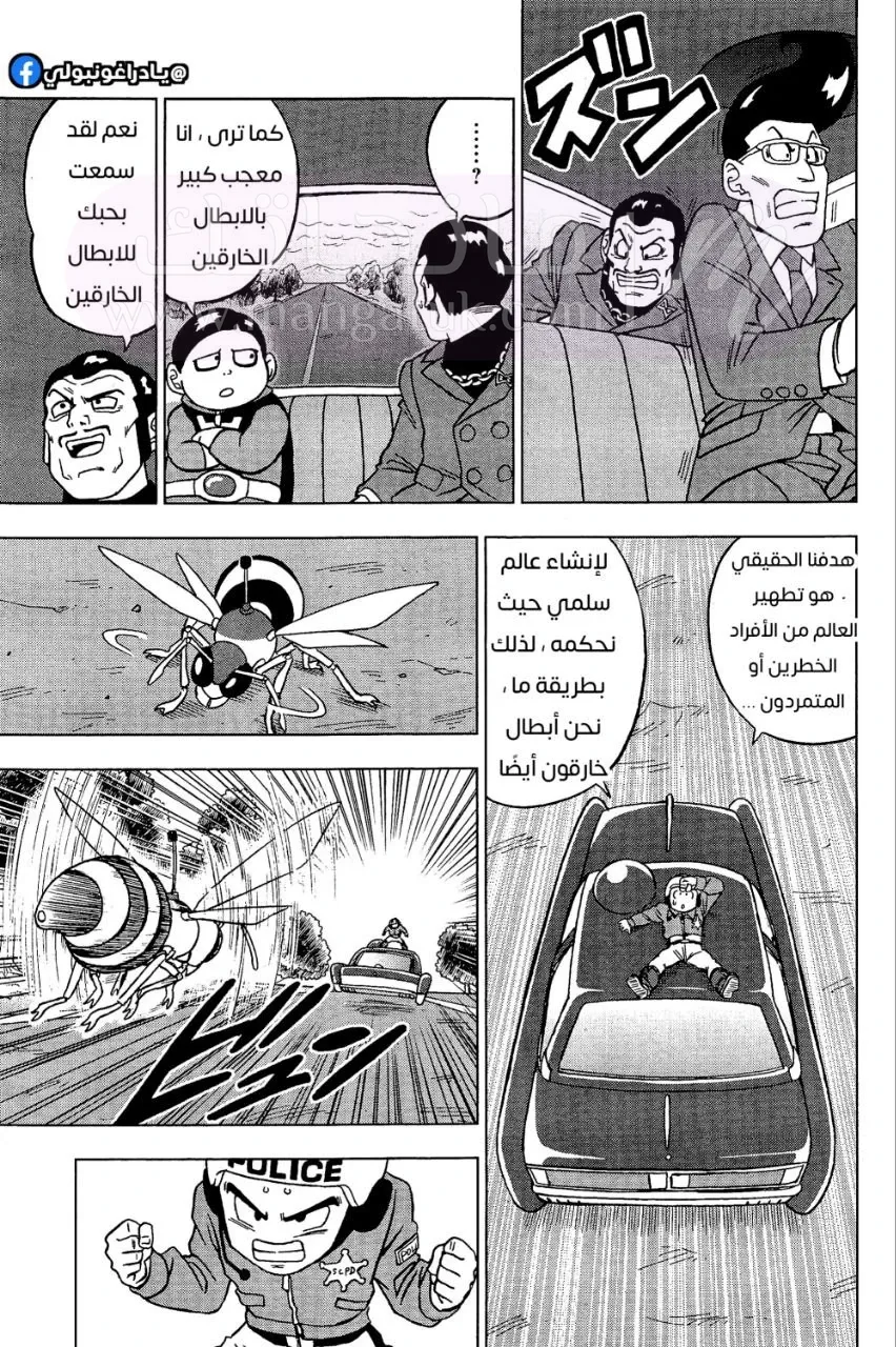 الصفحة 17