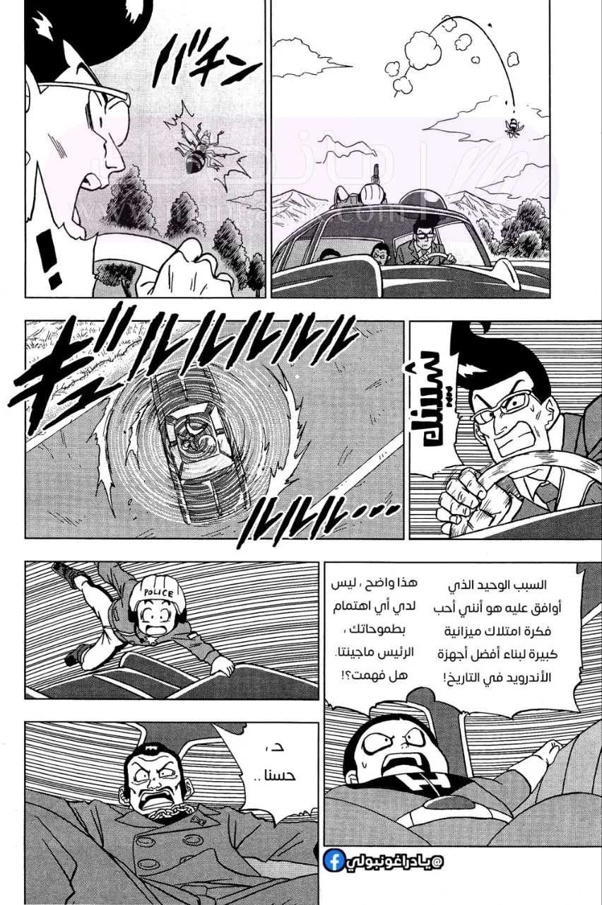 الصفحة 20