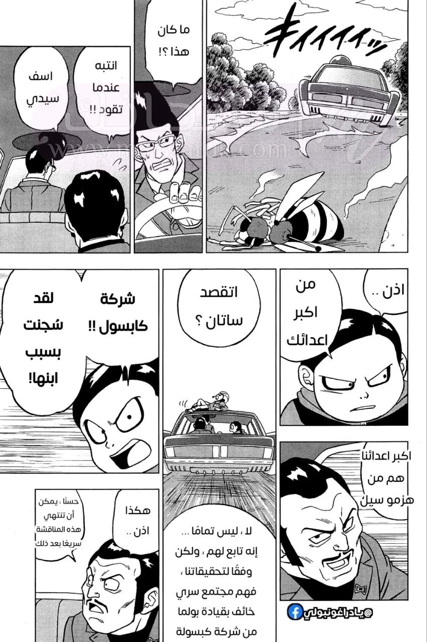 الصفحة 21