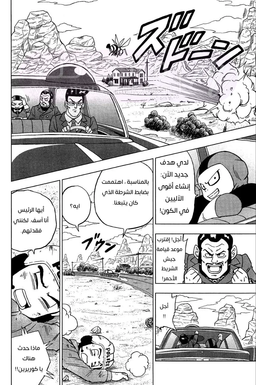 الصفحة 24