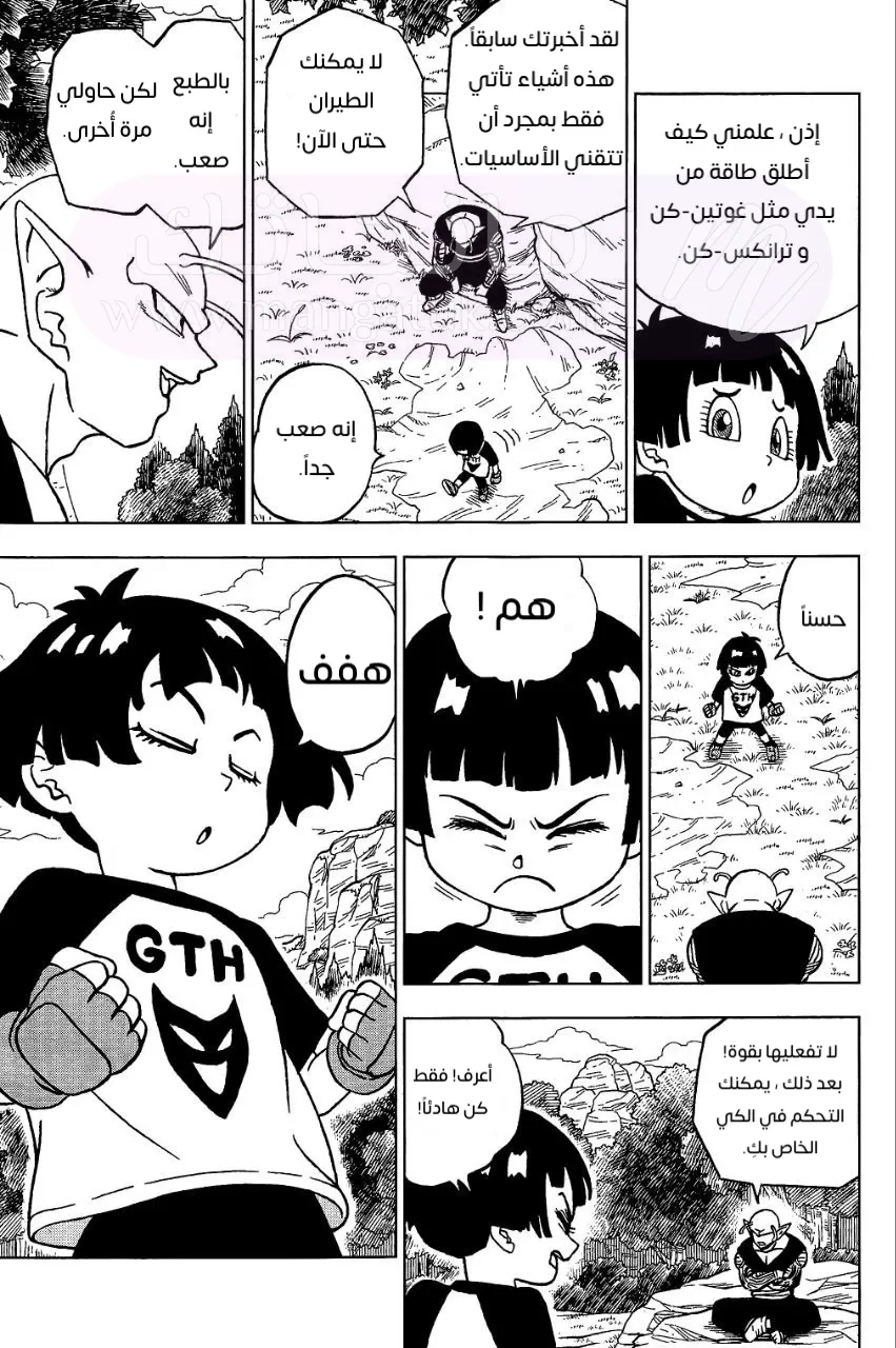 الصفحة 29