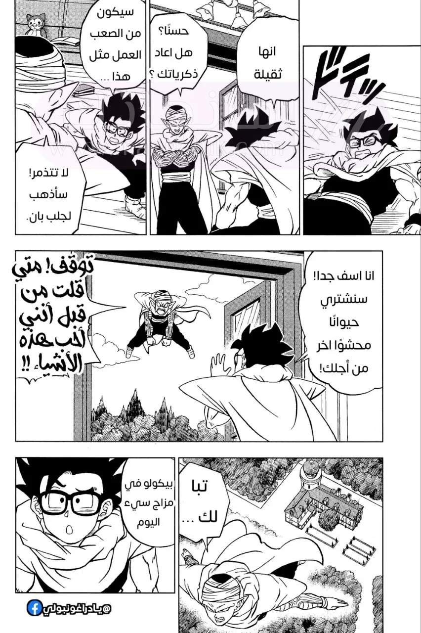 الصفحة 40