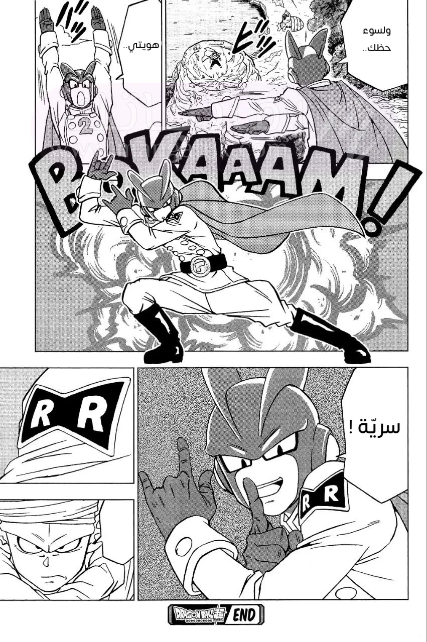 الصفحة 45