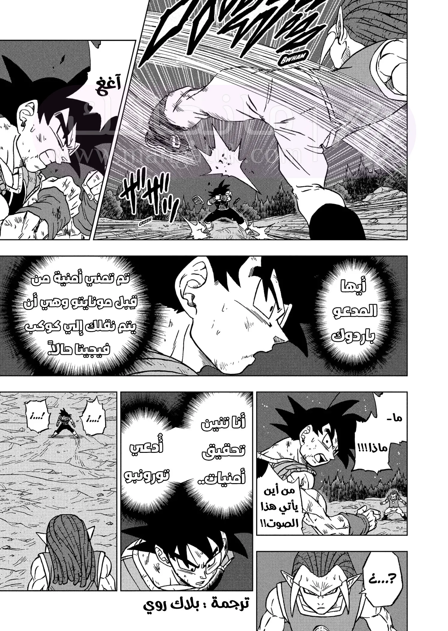 الصفحة 12