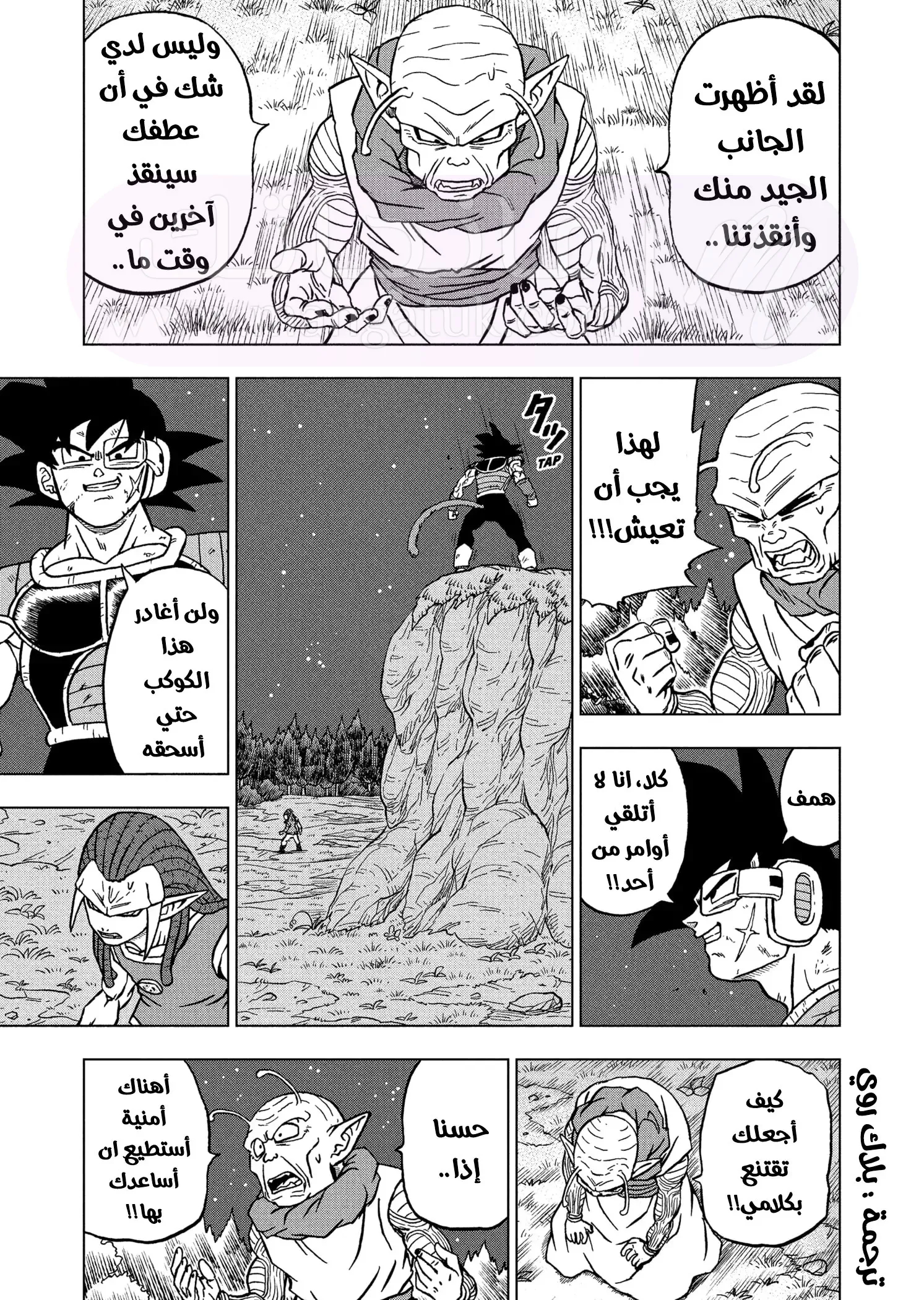 الصفحة 16