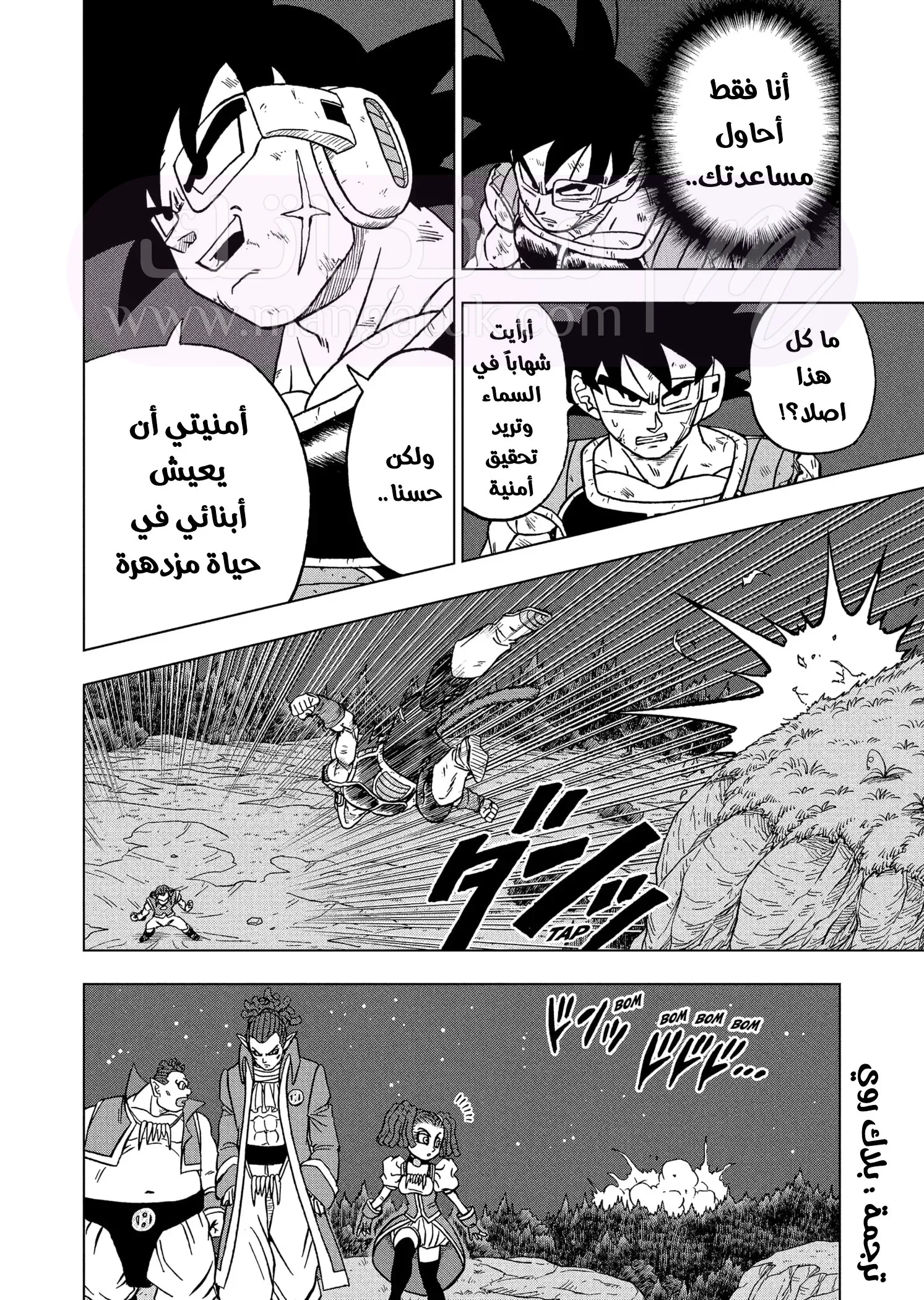 الصفحة 17