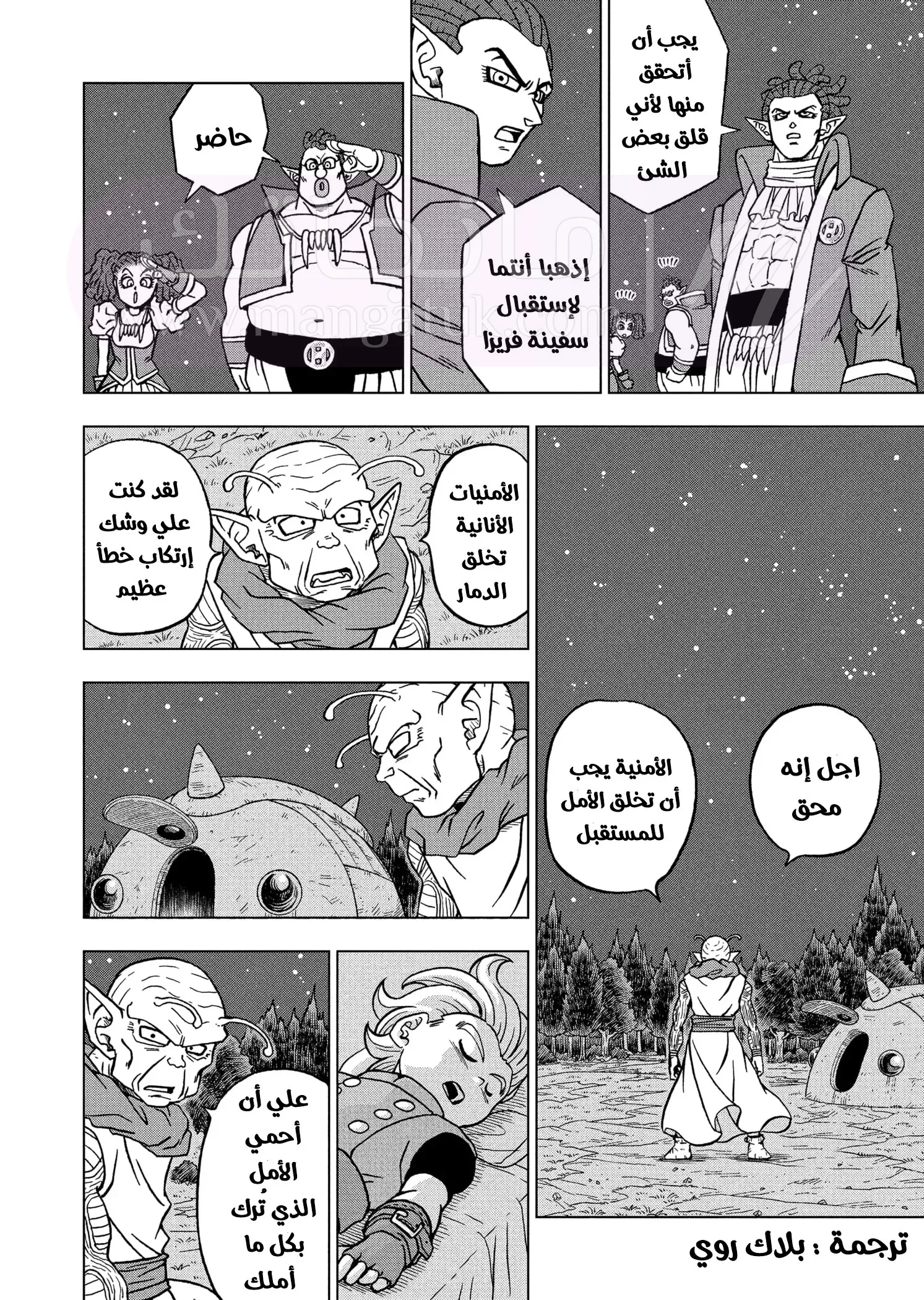 الصفحة 19