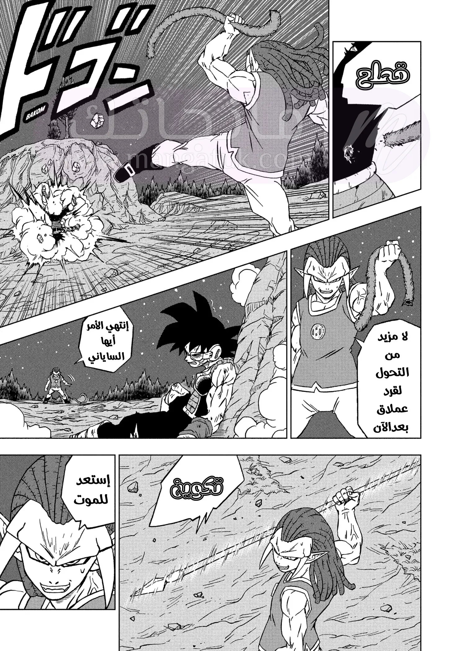 الصفحة 24