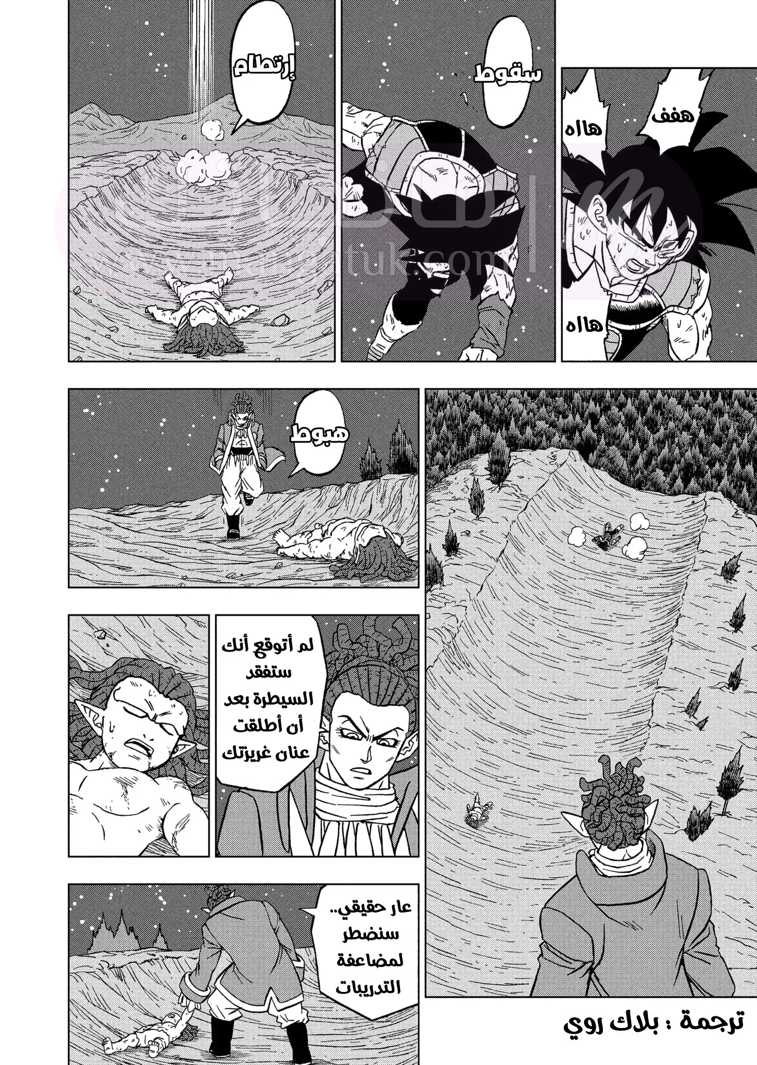 الصفحة 42
