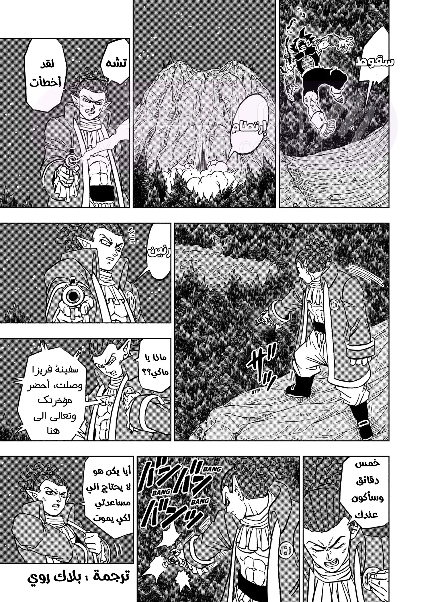 الصفحة 45